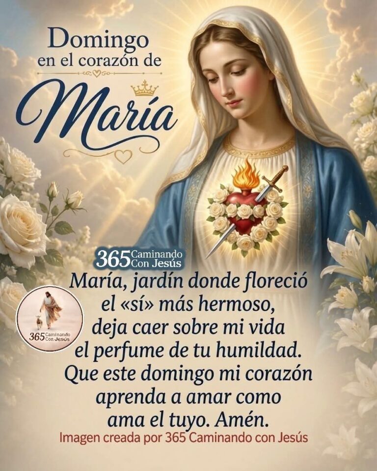 WhatsApp-Image-2026-07-12-at-07.17.12