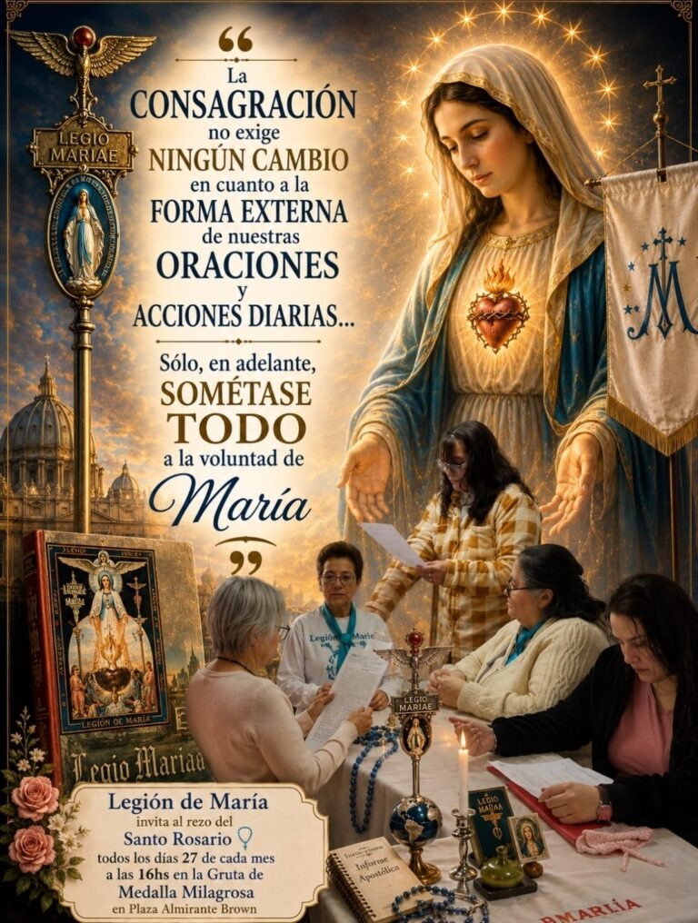 WhatsApp-Image-2026-08-23-at-16.27.11