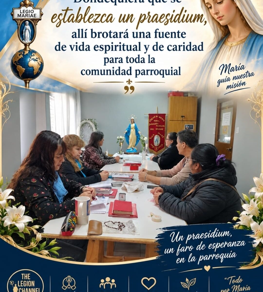 WhatsApp-Image-2026-09-29-at-20.42.38